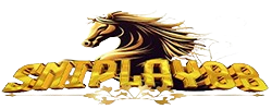 sniplaylogin.net